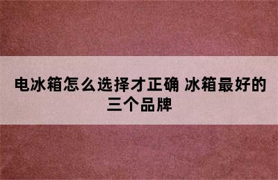 电冰箱怎么选择才正确 冰箱最好的三个品牌